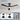 Ceiling Fan with Light
