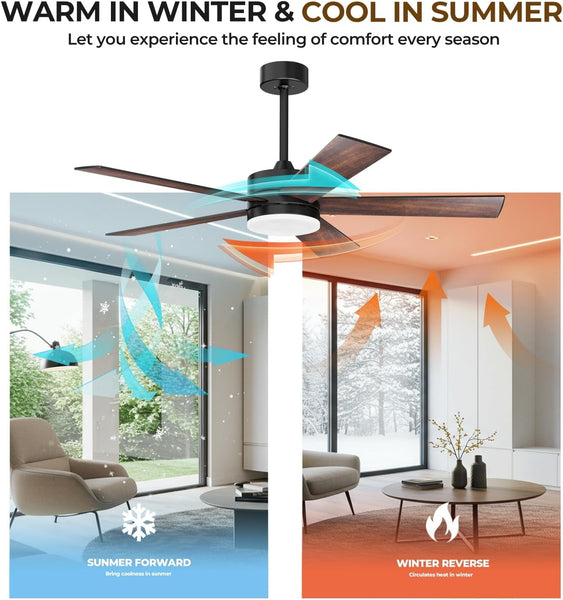 52 Inch Modern Ceiling Fan with Remote Control, 3CCT,Timer, Quite Reversible DC Motors