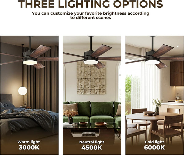 52 Inch Modern Ceiling Fan with Remote Control, 3CCT,Timer, Quite Reversible DC Motors