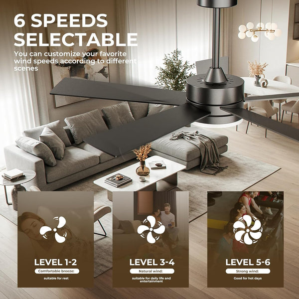 52 Inch Modern Ceiling Fan with Remote Control, 3CCT,Timer, Quite Reversible DC Motors