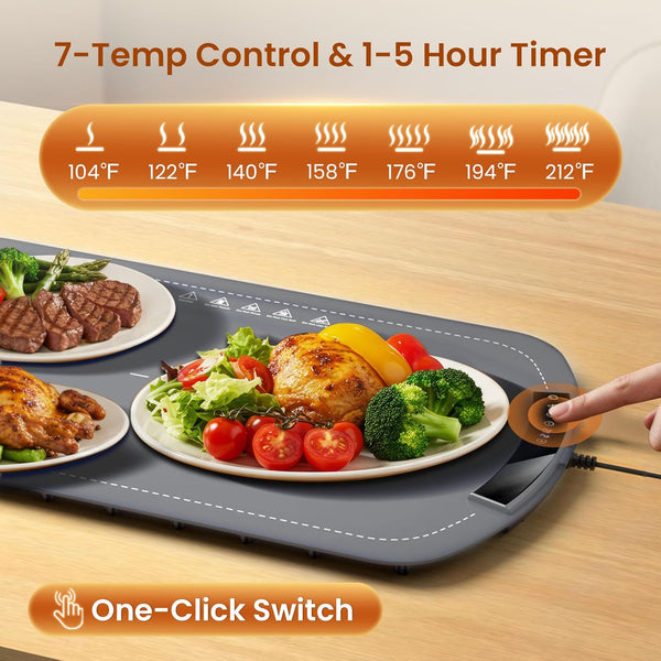 Hot plate with food on a wooden table, showing temperature control features.