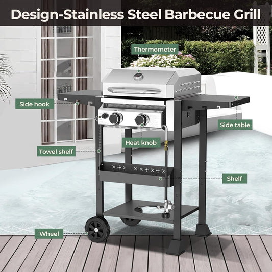 2-Burner Stainless Steel Propane Grill, 16,000 BTU Portable Gas BBQ with Electronic Ignition