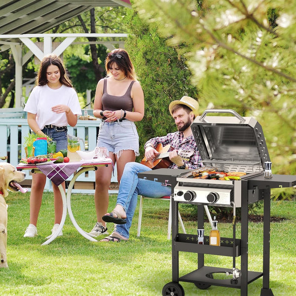 2-Burner Stainless Steel Propane Grill, 16,000 BTU Portable Gas BBQ with Electronic Ignition