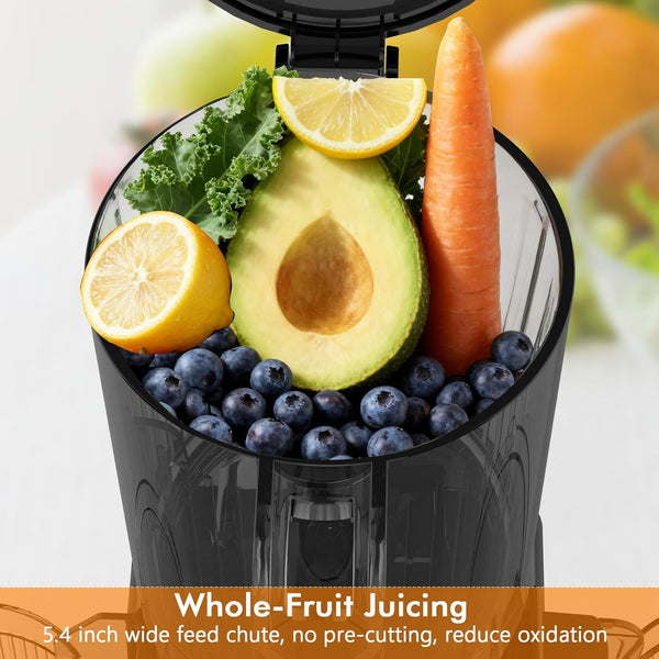 Juicer with fruits and vegetables including an avocado, lemon, carrot, and blueberries on a white background.