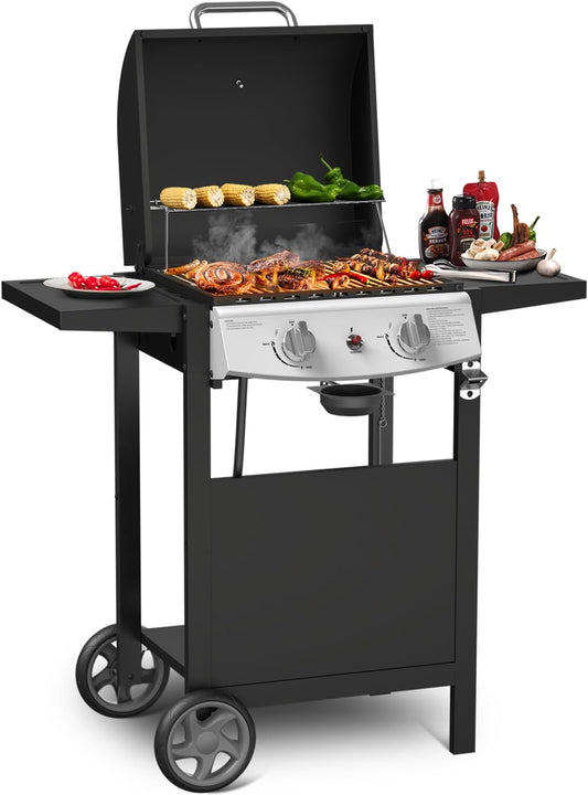 2-Burner Propane Gas Grill,20,000 BTU Stainless Steel BBQ Grill with Top Cover Lid,Wheels,Side Tables,Built-in Thermometer,Camping Barbecue Griddle for Patio,Party,Black