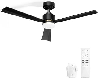 Ceiling Fan with Light