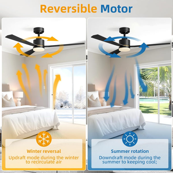 Reversible DC Motor