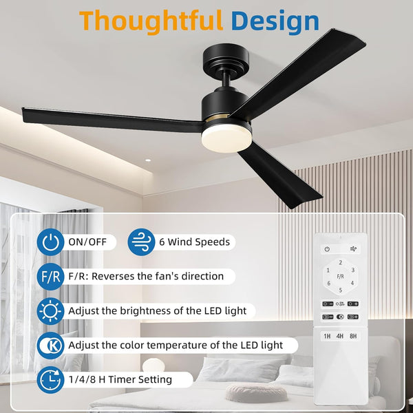 Ceiling Fan with Light